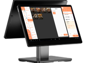 Swan 2 Pro